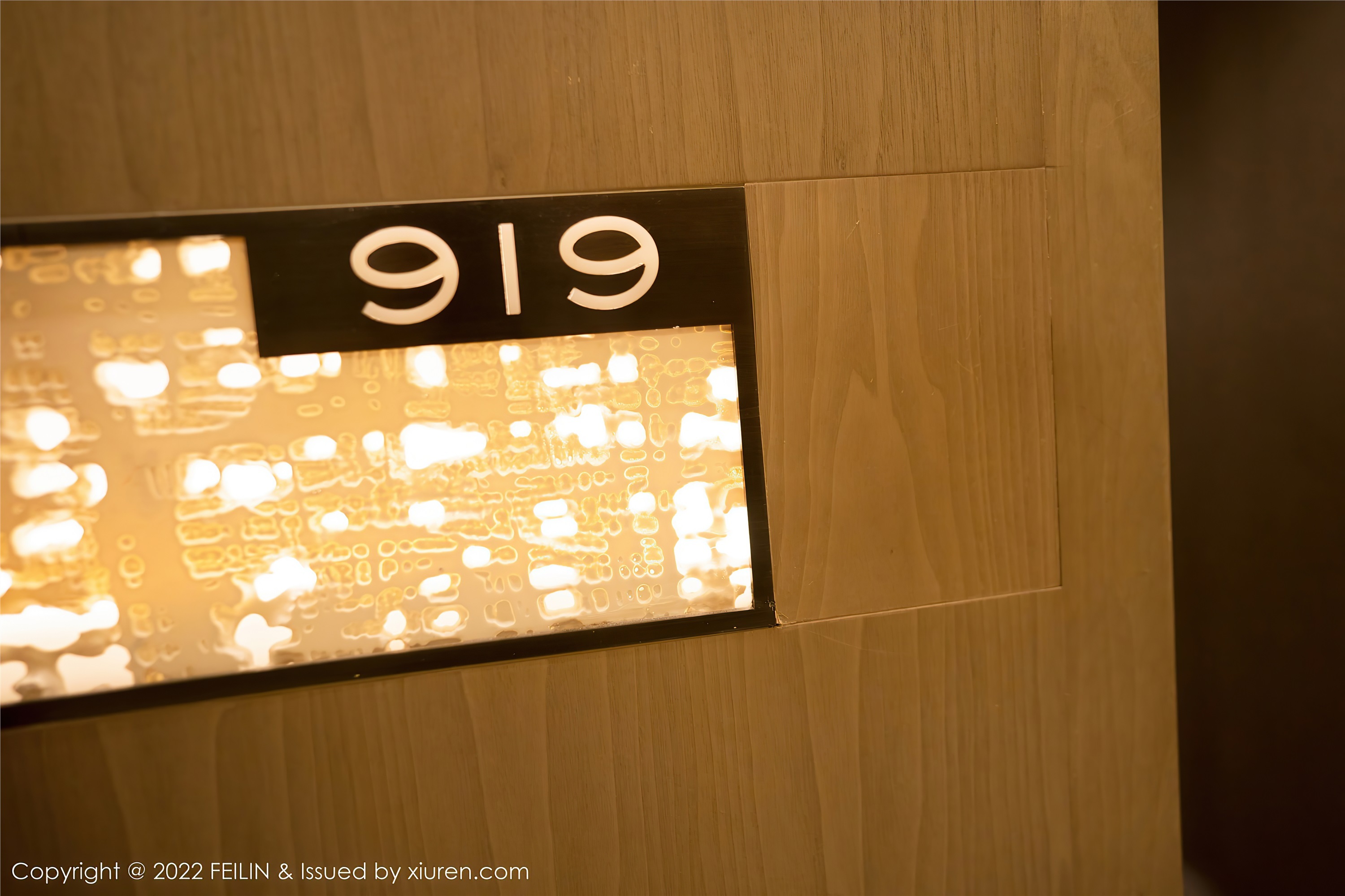 Feilin嗲囡囡 2022.06.27 VOL.450 小蛮妖Yummy